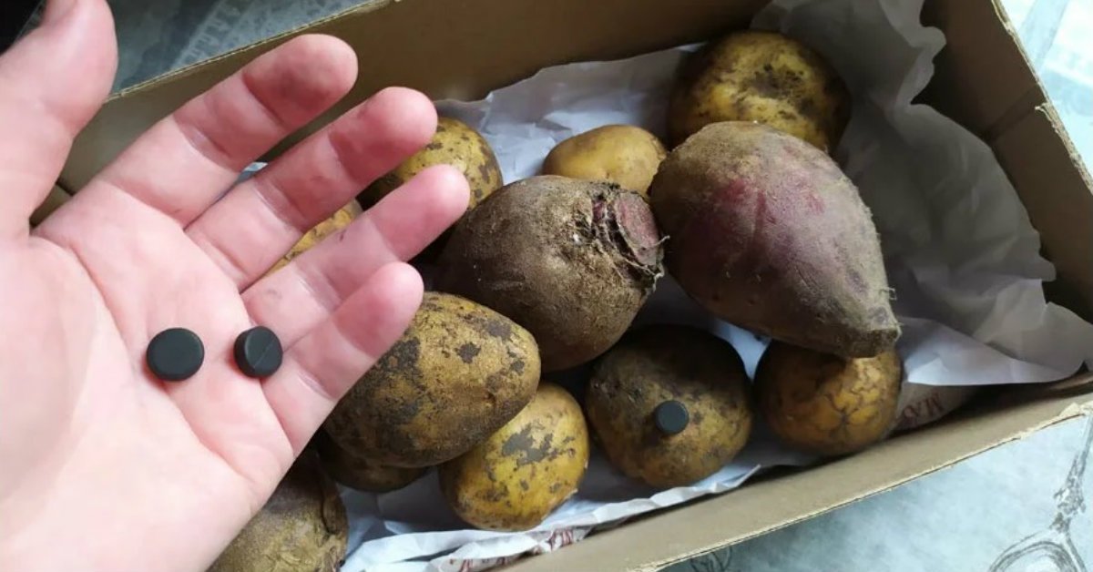 Можно ли картошку оставить в воде. Коробочка для картошки. Сохранение картошки. Древесина картошки. Закопать картошку.