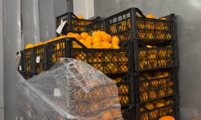 ტკბილი მანდარინის შერჩევა